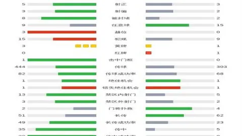 费德勒南美洲之旅安保简化：力求基本安全护航